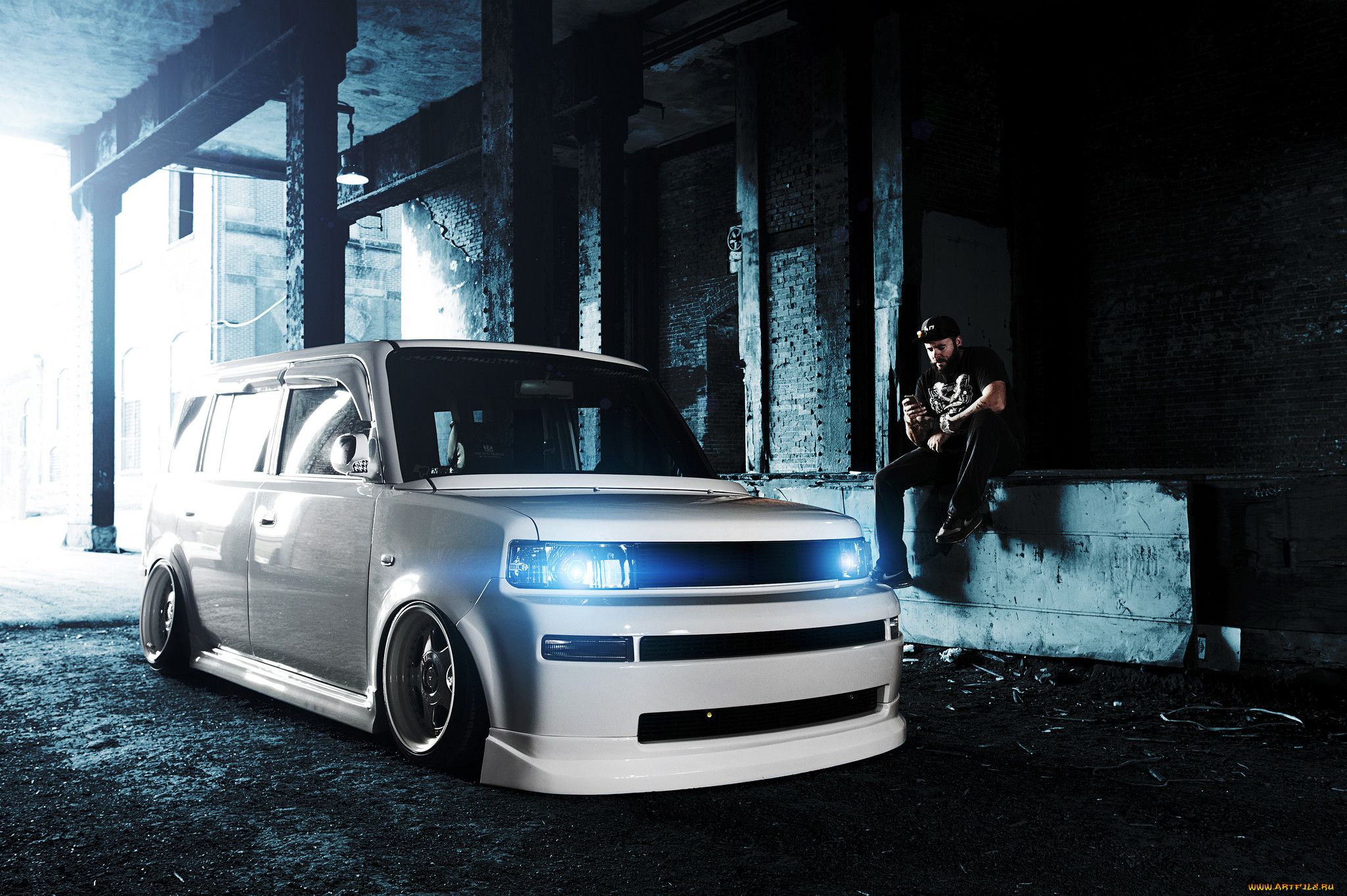 , scion